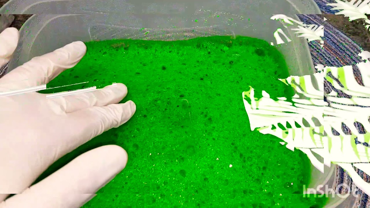 #طحالب قابله للاكل لديكور الكيك Edible Moos# طريقه سهله وبسيطه  لعمل #شجره من عجينه السكر