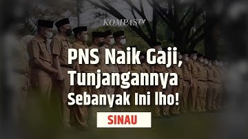 Tahun 2024 PNS Naik Gaji, Ternyata Tunjangannya Segini! | SINAU