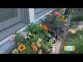 Why June may be the most important month for landscaping projects