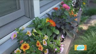 Why June may be the most important month for landscaping projects