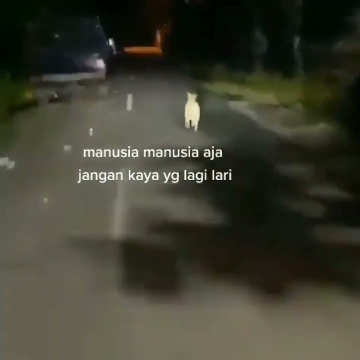 🔴 Story WA Lucu terbaru 2022 #fyp #lucu #ngakak #beranda #youtubeshorts #Tiktok 149