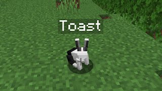 The Sad Story of the Toast Rabbit