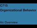 Wguorganizational behavior c715