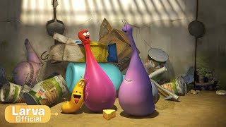 friend animation compilation larva tuba official