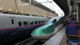 E5系新幹線 U11編成 はやぶさ11号 新函館北斗行き 東京駅に入線シーン