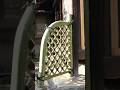 Kyoto's Secret Gardens: Bamboo Fences by Master Artisans＃ASMR