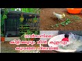 ഗാർഡനിലെ കിളിക്കൂടും മീൻ കുളവും # Inspired by # Fishing Freaks # Garden Makeover # Achus Vlog.