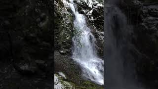 IMG 0399