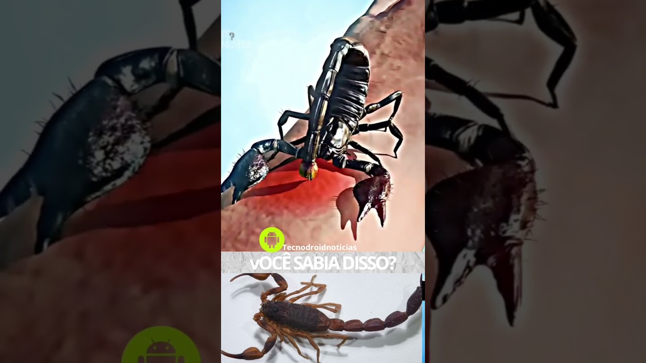 você sabia? Escorpião