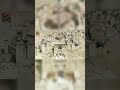 500,000 Scrolls | Why the World Lost Forever – The True Story of Alexandria #shortsfeed