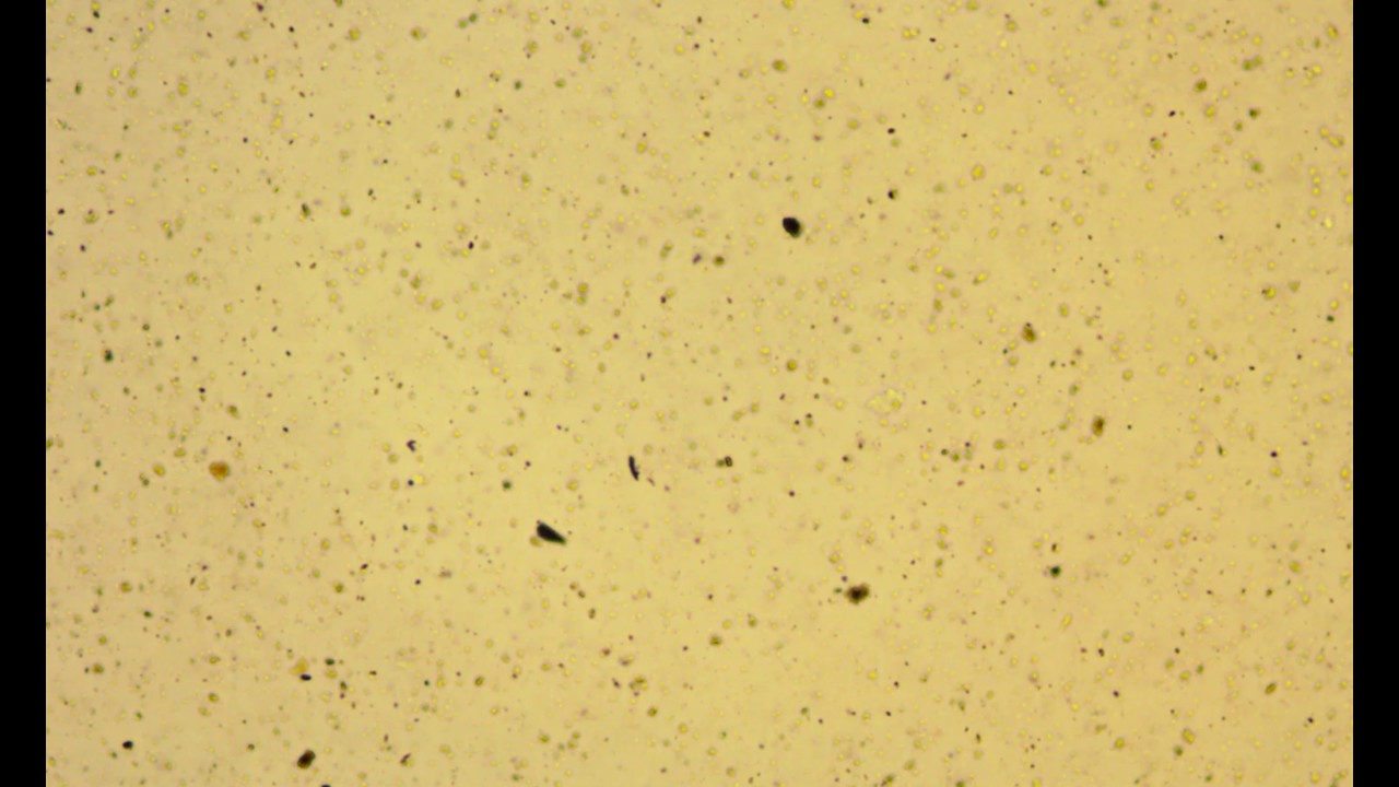 Отработанное моторное масло - YouTube