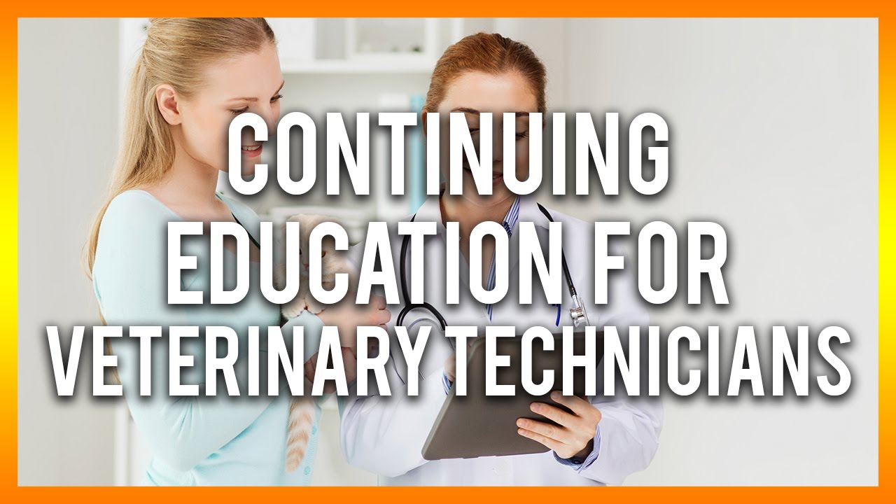 continuing education courses vet tech