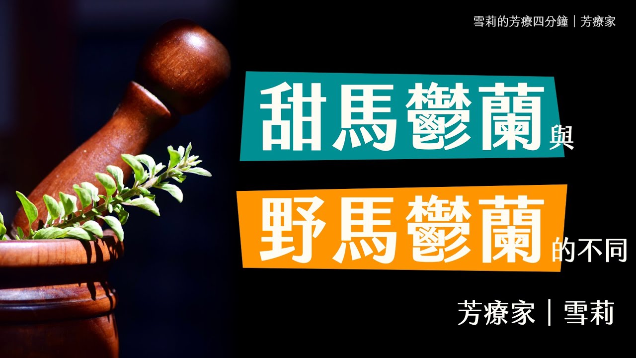 甜馬鬱蘭和野馬鬱蘭（別稱牛至），功能差很多，到底該用哪一個馬鬱蘭？雪莉老師記憶大法，看完以後不搞錯｜雪莉的芳療四分鐘｜芳療家 縮圖