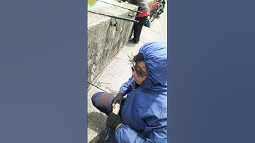Mancing hari minggu dapat lele babon di kali teluk intan #mancing #mantap