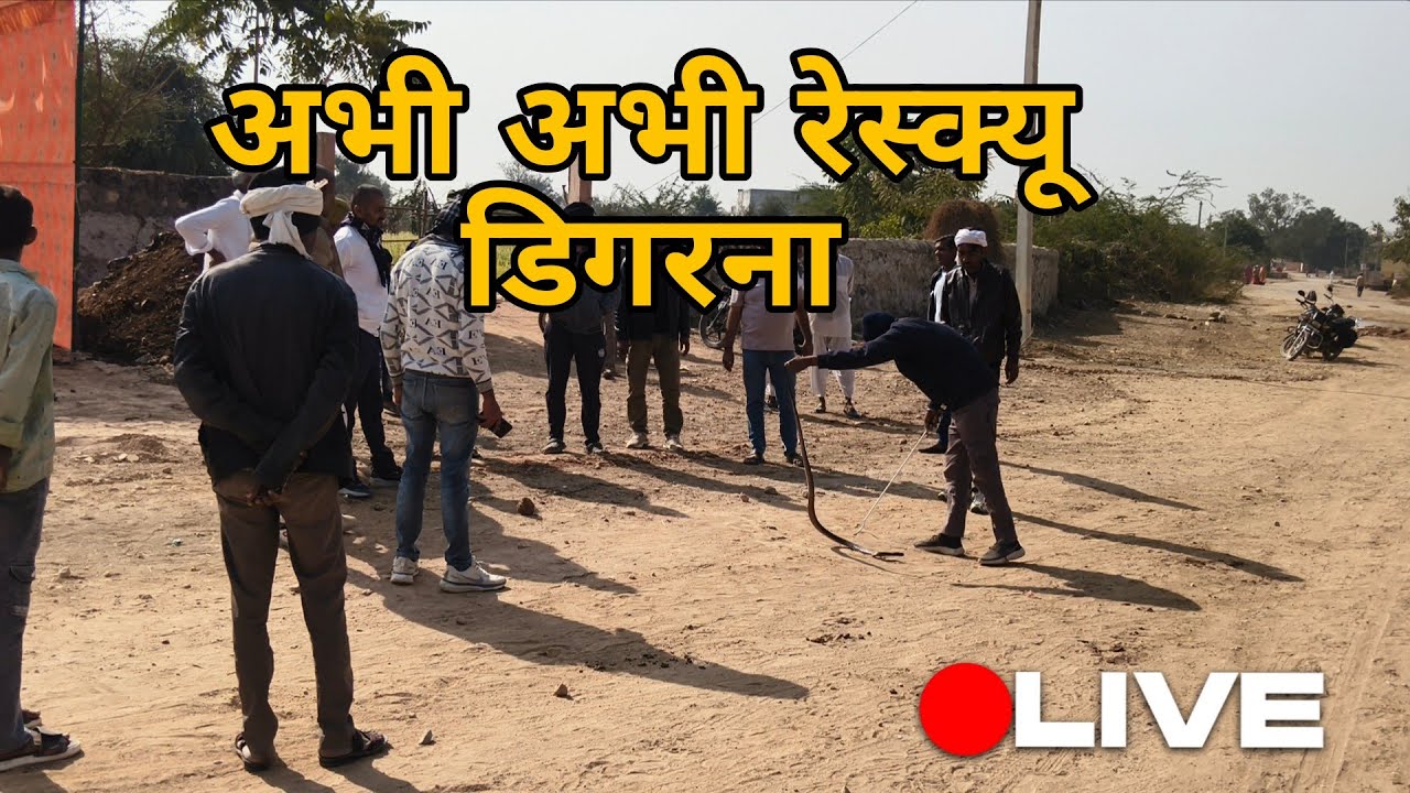 डिगरना से रेस्क्यू किया काफी भीड़ हो गई इक्कठा दीवार में था इतना बड़ा सांप 😨#wildliferescue #snake 