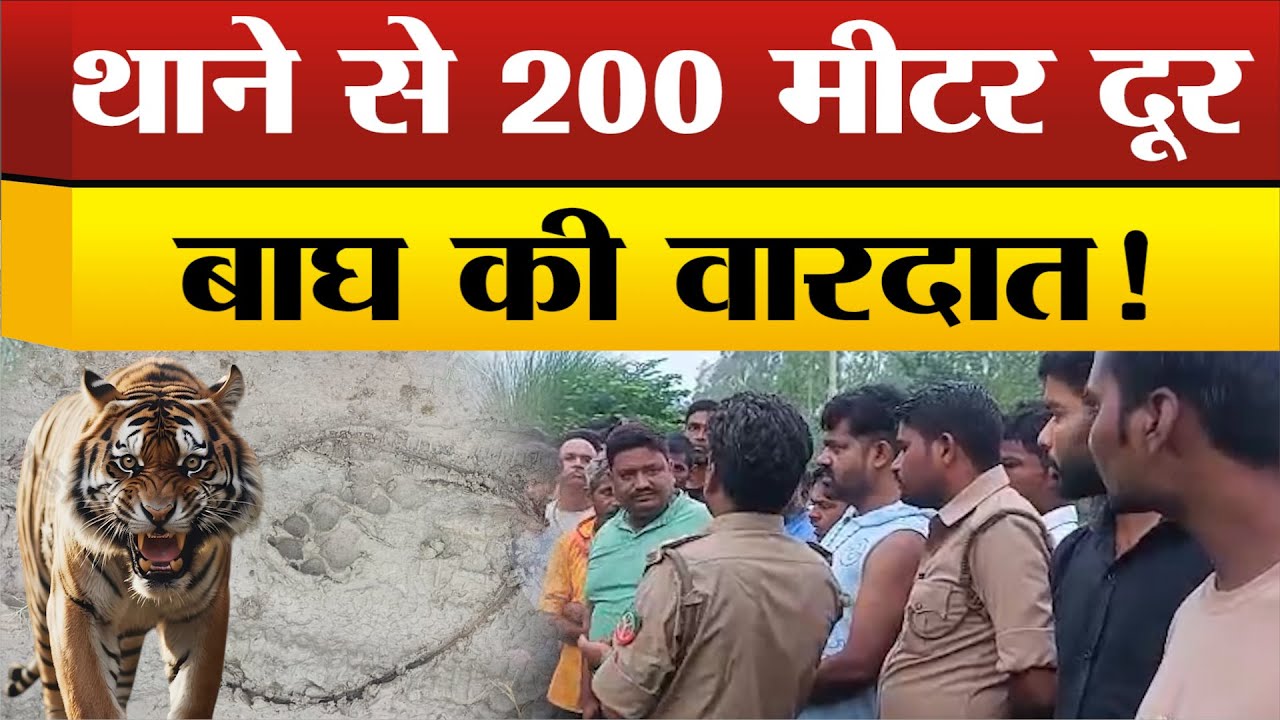Sitapur में अब कहां मां की आंखों के सामने से बेटी को उठा ले गया बाघ, मचा हड़कंप !