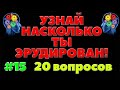 УЗНАЙ НАСКОЛЬКО ТЫ ЭРУДИРОВАН (ТЕСТ) #15