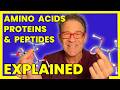 PROTEINS, PEPTIDES, AMINO ACIDS... Explained Simply!