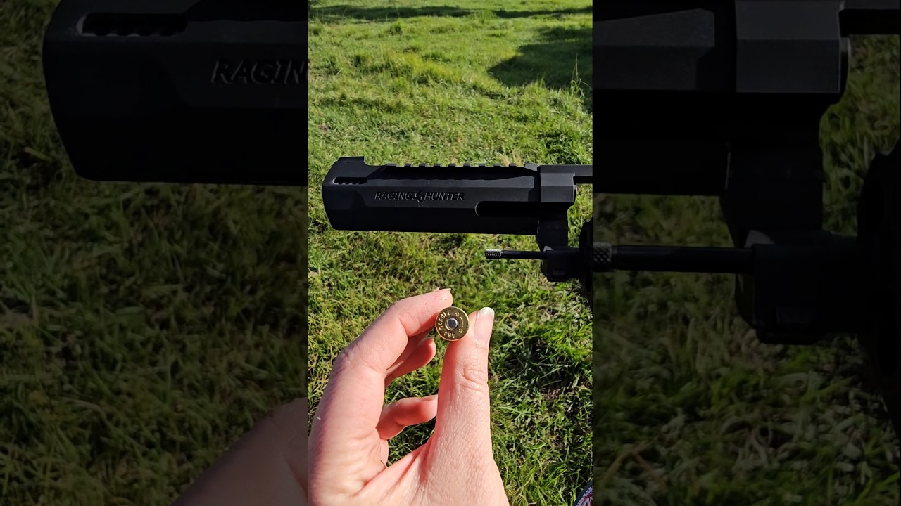 Taurus Raging Hunter 454 casull 