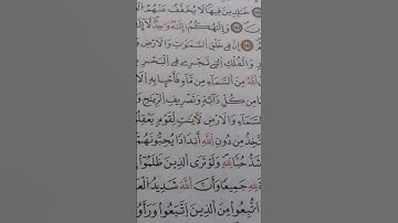 الآية 164 من سورة البقرة برواية#ورش_عن_نافع