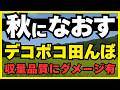 知らないと大損!デコボコ田んぼが招く「負の連鎖」を断ち切る、最強の均平技術