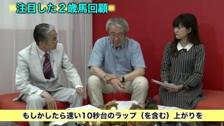 【競馬】【POG】柏木・丹下も驚いた!?　新馬戦で早くも逸材を発見(一部公開版) - netkeiba.com
