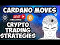 CARDANO LIVE: Ethereum vs Cardano: Crypto Trading Strategies