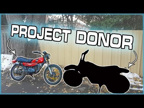 I Bought ANOTHER Dirtbike and THIS is WHY! (Yamaha DT100 Restomod Build Part 2)