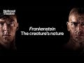 Cruelty, Violence and the Creature