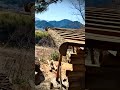 (16) 森で最悪なエリアを、最高の場所に開拓！(bush craft shelter、山小屋の屋根が、ようやく完成しました！)