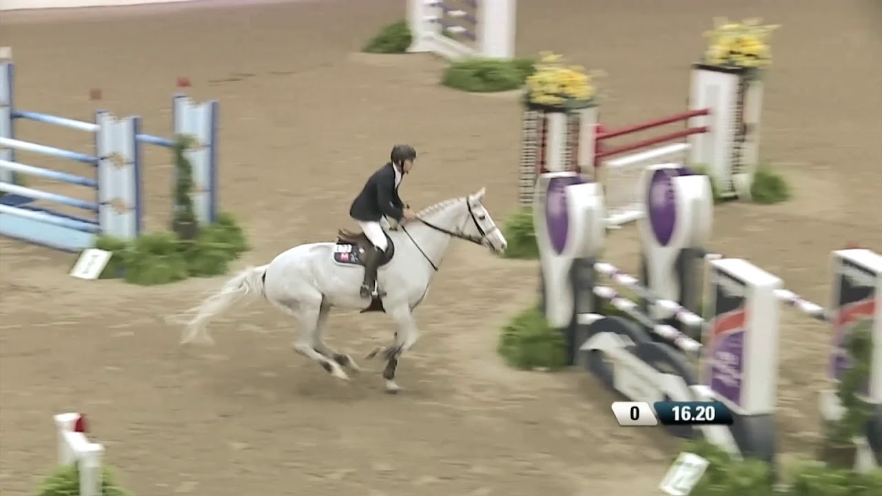 Las Vegas National Horse Show 2024 Dates Las Vegas National Horse Show 2024 Dates