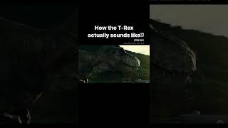 what does a t-rex sound like #jurassicworld #funny #comedy #instagram #dinosaurs #trex