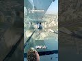 Perosotan kaca 😱 #shortvideo #funny #videos #shortvideo #slide #sky