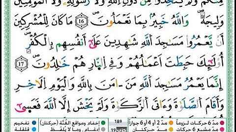 سورة التوبة مكتوبة برواية ورش عن نافع بتلاوة عمر القزابري