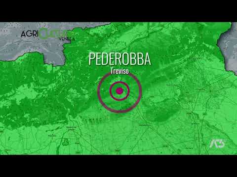 AGRICULTURA VENETA  | 29/10/2023