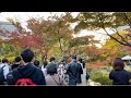 【4K】Tokyo Walk - Hibiya Park(Autumn leaves),2020