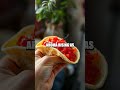 Pol Sambol Tacos from the Lankan Street