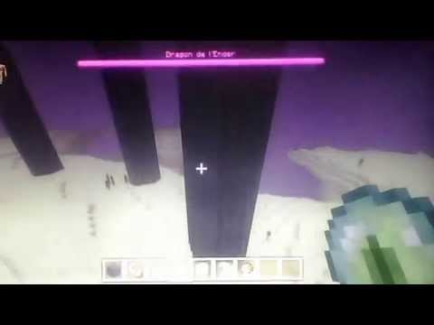 Portail minecraft ps3