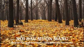Nỗi đau muộn màng - Ngô Thụy Miên (Tiếng hát Hoàng Phương Mai)