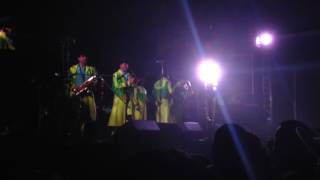 Sangre de Indio Banda machos