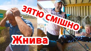 Жнива в пані Марії. Який був урожай цього року?