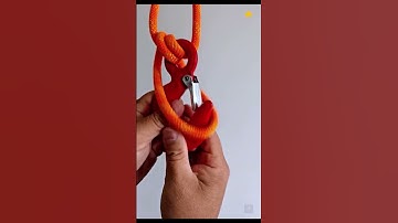 Easy Knot for Climbing, Simple but Strong! #knotting #climbing #survival #knotskill #shorts