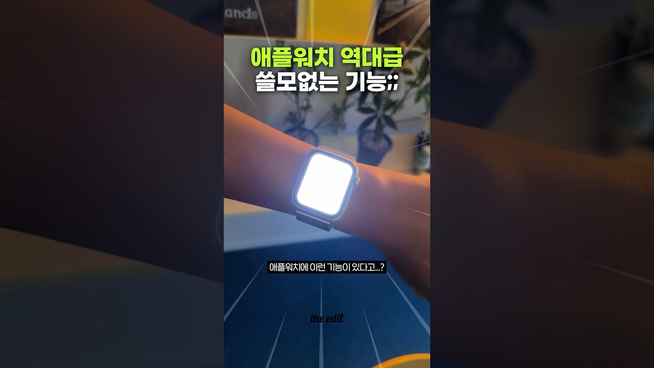 애플워치 이 기능 진짜 쓰세요..?