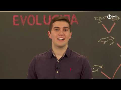 Domaća zadaća za 7. razred: Biologija - Evolucija