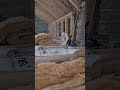 Attic insulation and ventilation system Dublin