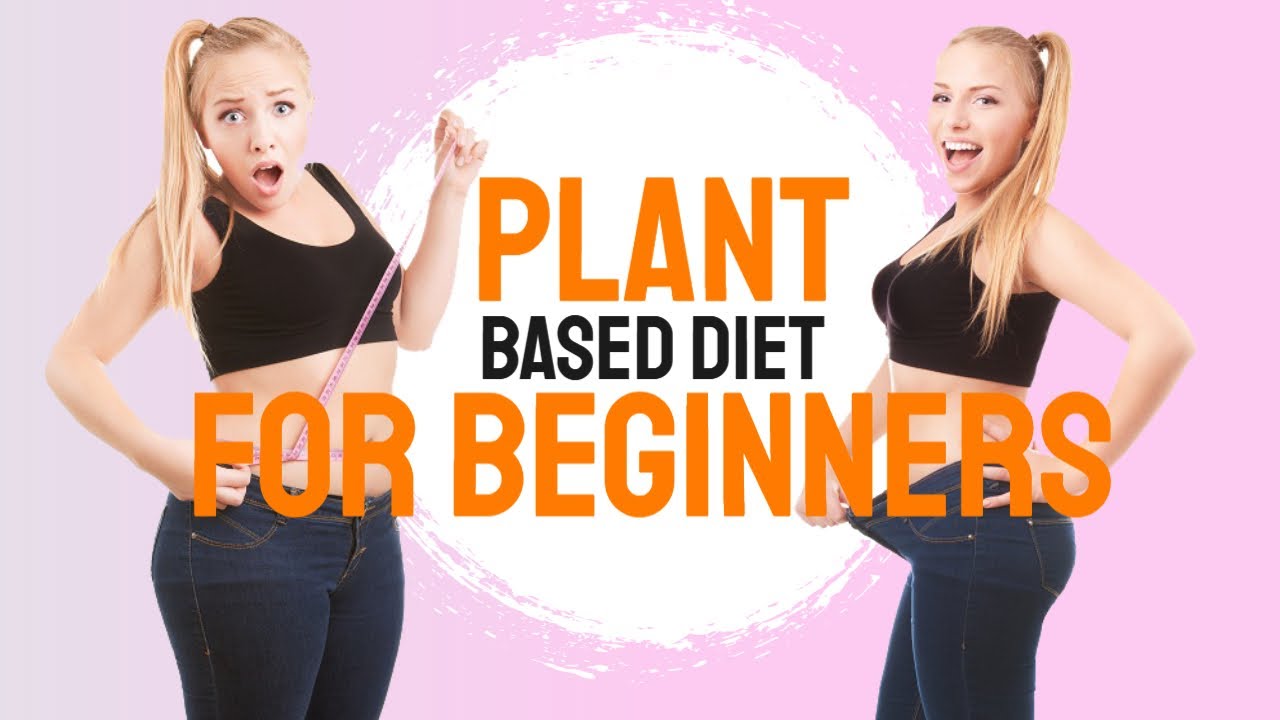Plant Based Diet For Beginners | How To Start A Plant Based Diet Honest ...