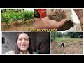 Plantando café 🌱