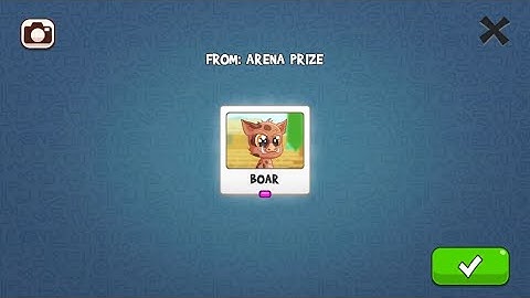 Fun run 3 (arena run 12 wins)