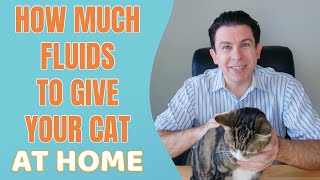 How much fluids to give your cat at home by Helpful Vancouver Vet 24,617 views 1 year ago 13 minutes, 56 seconds