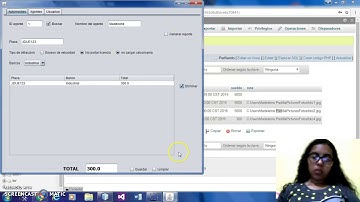 Proyecto 2 Integrador- JAVA NetBeans